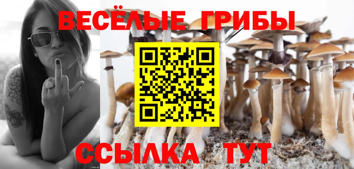 Псилоцибиновые грибы Psilocybe  Вход с VPN  Малоярославец 