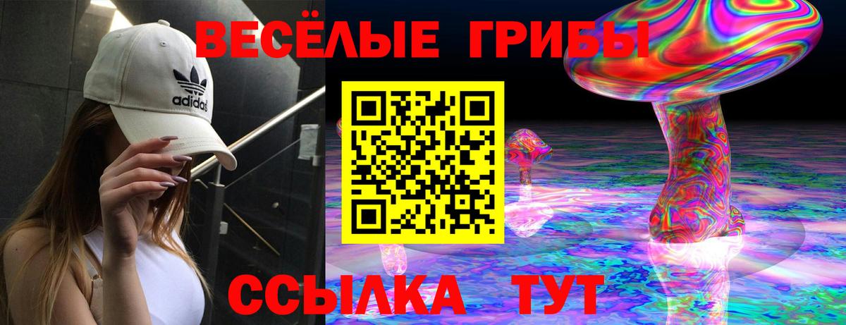 Псилоцибиновые грибы GOLDEN TEACHER Малоярославец